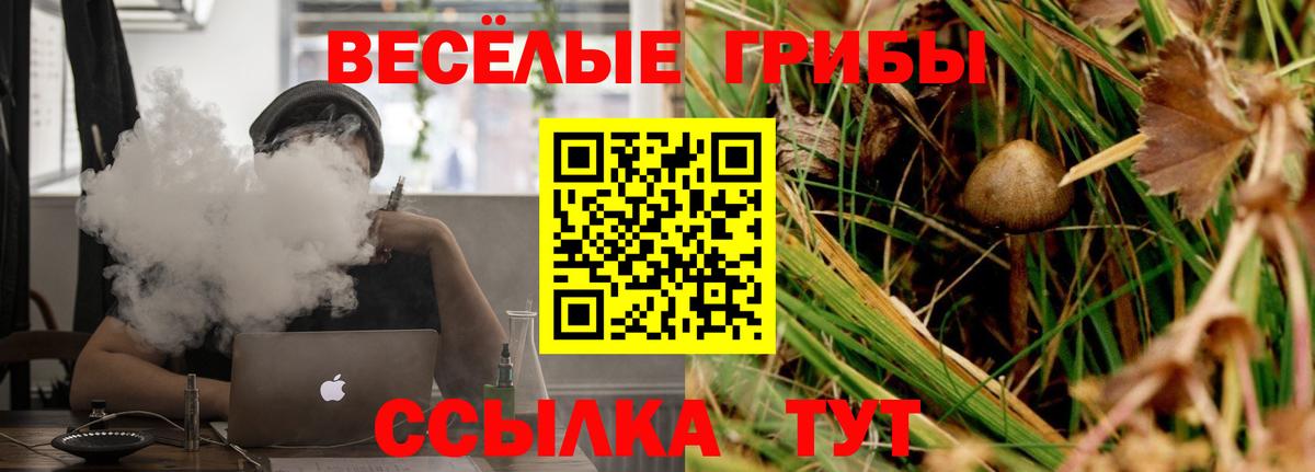 Галлюциногенные грибы Cubensis  Вход с VPN  Георгиевск 